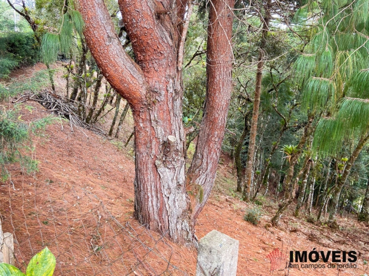 Terreno/Lote Residencial para Venda - Campos do Jordão, Atalaia - REF: 2019 Imagem da galeria de fotos: Terreno/Lote Residencial para Venda - Campos do Jordão, Atalaia - REF: 2019