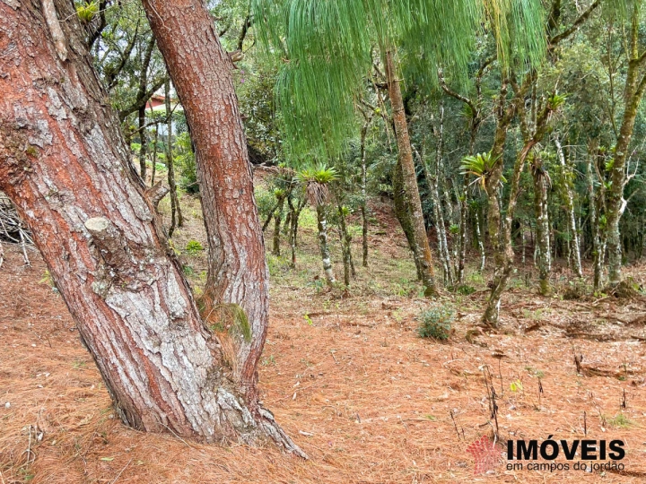 Terreno/Lote Residencial para Venda - Campos do Jordão, Atalaia - REF: 2019 Imagem da galeria de fotos: Terreno/Lote Residencial para Venda - Campos do Jordão, Atalaia - REF: 2019