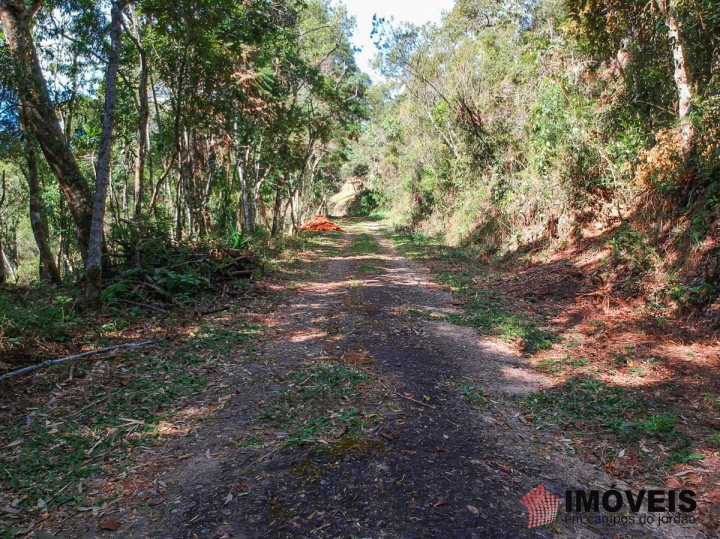 Terreno/Lote Residencial para Venda - Campos do Jordão, Cidade do Sol - REF: 2037 Imagem da galeria de fotos: Terreno/Lote Residencial para Venda - Campos do Jordão, Cidade do Sol - REF: 2037