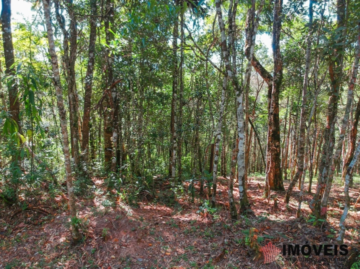 Terreno/Lote Residencial para Venda - Campos do Jordão, Cidade do Sol - REF: 2037 Imagem da galeria de fotos: Terreno/Lote Residencial para Venda - Campos do Jordão, Cidade do Sol - REF: 2037