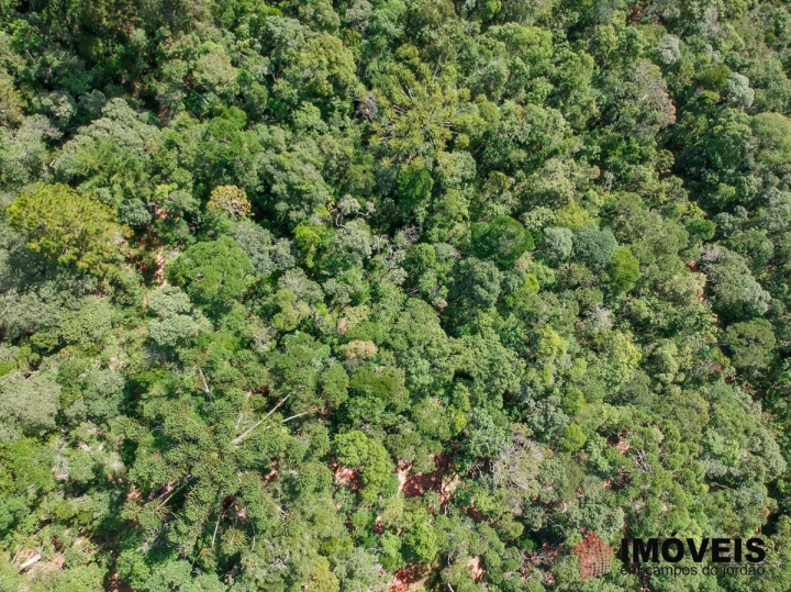 Terreno/Lote Residencial para Venda - Campos do Jordão, Cidade do Sol - REF: 2037 Imagem da galeria de fotos: Terreno/Lote Residencial para Venda - Campos do Jordão, Cidade do Sol - REF: 2037