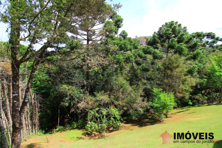 Casa Residencial para Venda - Campos do Jordão, Florestal Club - REF: 2125 Imagem da galeria de fotos: Casa Residencial para Venda - Campos do Jordão, Florestal Club - REF: 2125