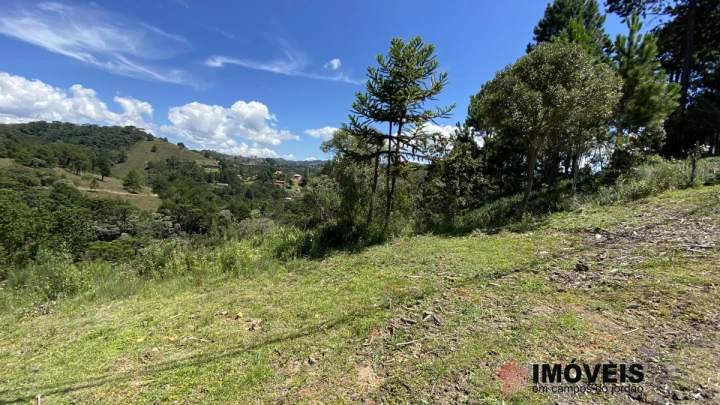 Terreno/Lote Residencial para Venda - Campos do Jordão, Descansópolis - REF: 2134 Imagem da galeria de fotos: Terreno/Lote Residencial para Venda - Campos do Jordão, Descansópolis - REF: 2134