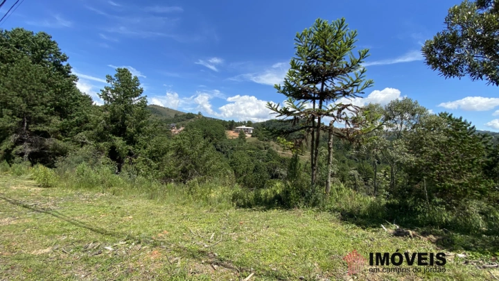 Terreno/Lote Residencial para Venda - Campos do Jordão, Descansópolis - REF: 2134 Imagem da galeria de fotos: Terreno/Lote Residencial para Venda - Campos do Jordão, Descansópolis - REF: 2134