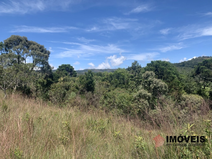 Imagem da galeria de fotos: Terreno/Lote Residencial para Venda - Campos do Jordão, Descansópolis - REF: 2136