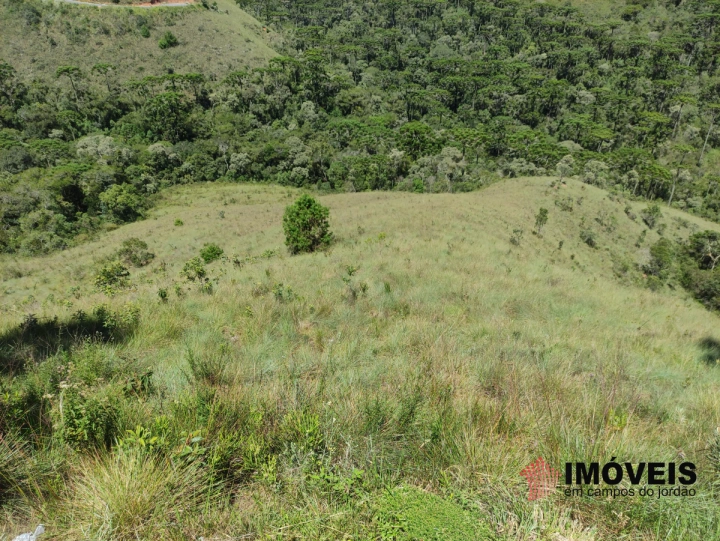 Terreno/Lote Residencial para Venda - Campos do Jordão, Iporanga - REF: 2137 Imagem da galeria de fotos: Terreno/Lote Residencial para Venda - Campos do Jordão, Iporanga - REF: 2137