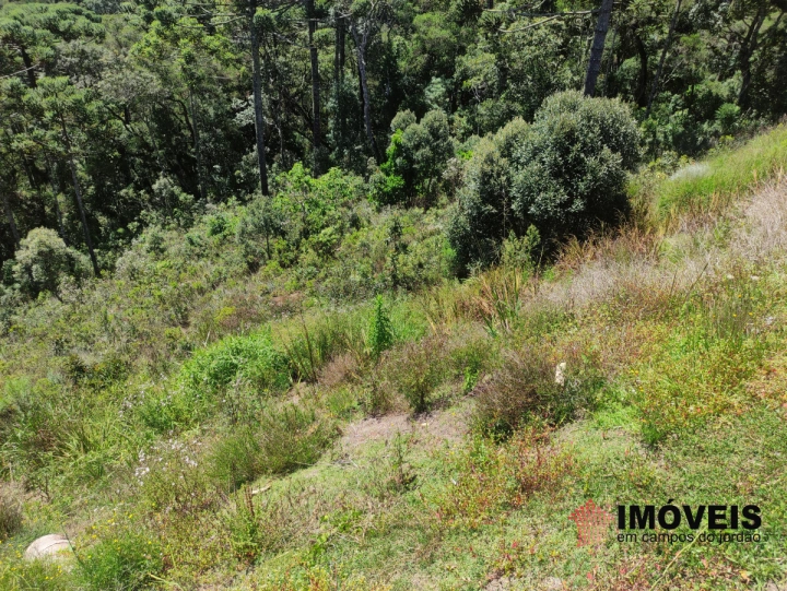 Terreno/Lote Residencial para Venda - Campos do Jordão, Descansópolis - REF: 2138 Imagem da galeria de fotos: Terreno/Lote Residencial para Venda - Campos do Jordão, Descansópolis - REF: 2138