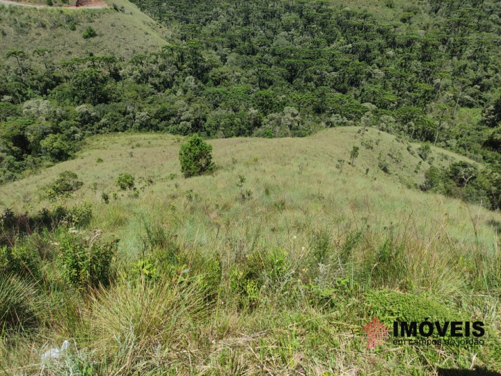 Terreno/Lote Residencial para Venda - Campos do Jordão, Iporanga - REF: 2137 Imagem da galeria de fotos: Terreno/Lote Residencial para Venda - Campos do Jordão, Iporanga - REF: 2137