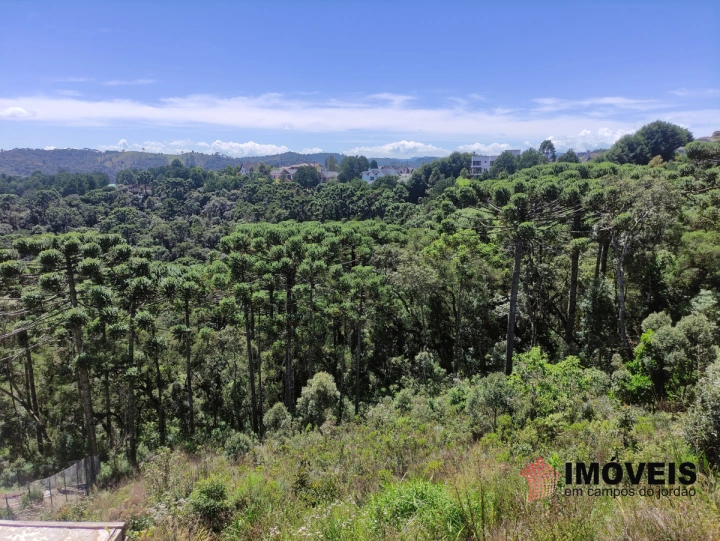 Terreno/Lote Residencial para Venda - Campos do Jordão, Descansópolis - REF: 2138 Imagem da galeria de fotos: Terreno/Lote Residencial para Venda - Campos do Jordão, Descansópolis - REF: 2138