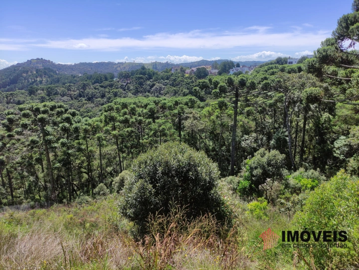 Terreno/Lote Residencial para Venda - Campos do Jordão, Descansópolis - REF: 2138 Imagem da galeria de fotos: Terreno/Lote Residencial para Venda - Campos do Jordão, Descansópolis - REF: 2138