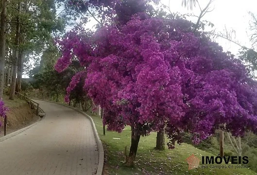Sítio Rural para Venda - Campos do Jordão, Vila Abernéssia - REF: 2148 Imagem da galeria de fotos: Sítio Rural para Venda - Campos do Jordão, Vila Abernéssia - REF: 2148