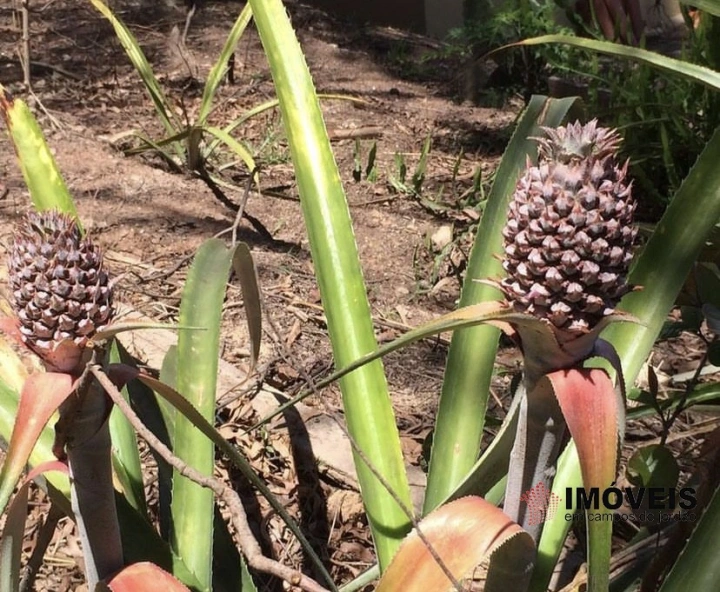 Sítio Rural para Venda - Campos do Jordão, Vila Abernéssia - REF: 2148 Imagem da galeria de fotos: Sítio Rural para Venda - Campos do Jordão, Vila Abernéssia - REF: 2148