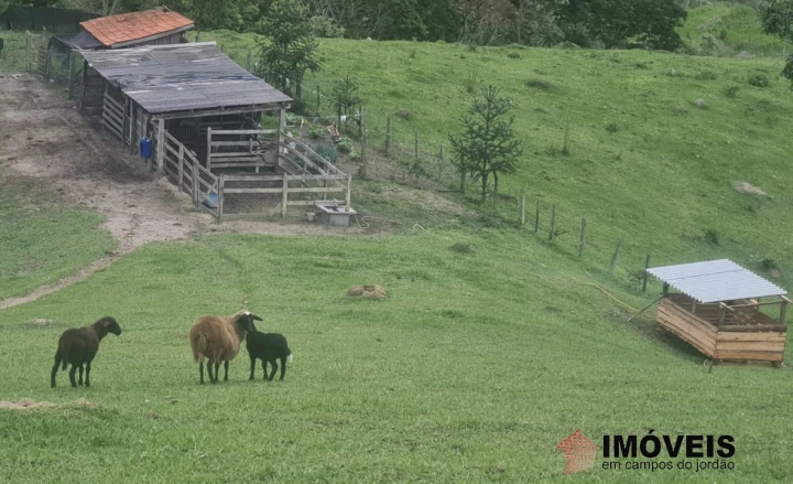 Sítio Rural para Venda - Campos do Jordão, Vila Abernéssia - REF: 2148 Imagem da galeria de fotos: Sítio Rural para Venda - Campos do Jordão, Vila Abernéssia - REF: 2148