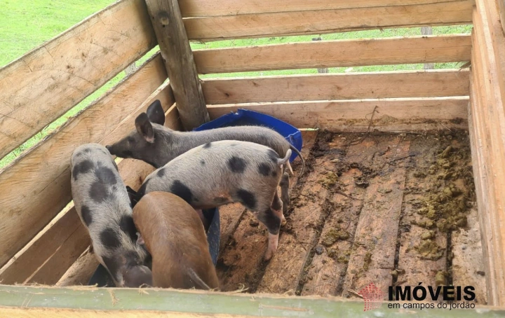 Sítio Rural para Venda - Campos do Jordão, Vila Abernéssia - REF: 2148 Imagem da galeria de fotos: Sítio Rural para Venda - Campos do Jordão, Vila Abernéssia - REF: 2148