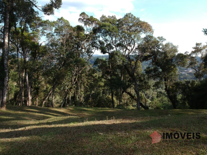 Imagem da galeria de fotos: Terreno/Lote Residencial para Venda - Campos do Jordão, Alto da Boa Vista - REF: 2181