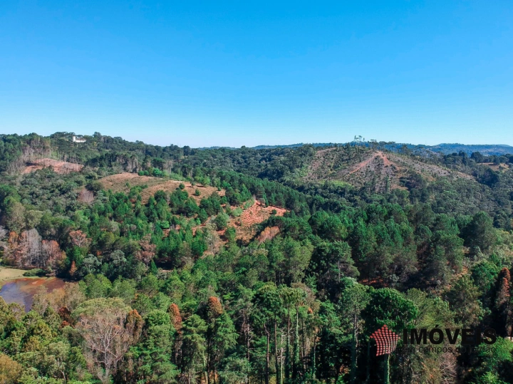 Terreno/Lote Residencial para Venda - Campos do Jordão, Umuarama - REF: 2189 Imagem da galeria de fotos: Terreno/Lote Residencial para Venda - Campos do Jordão, Umuarama - REF: 2189