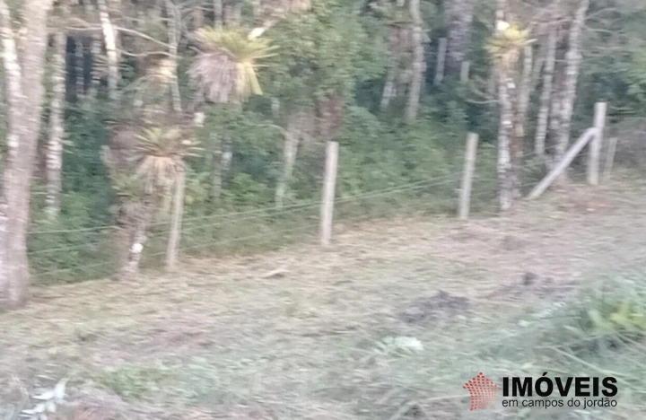 Terreno/Lote Residencial para Venda - Campos do Jordão, Jardim Cataguases - REF: 2215 Imagem da galeria de fotos: Terreno/Lote Residencial para Venda - Campos do Jordão, Jardim Cataguases - REF: 2215