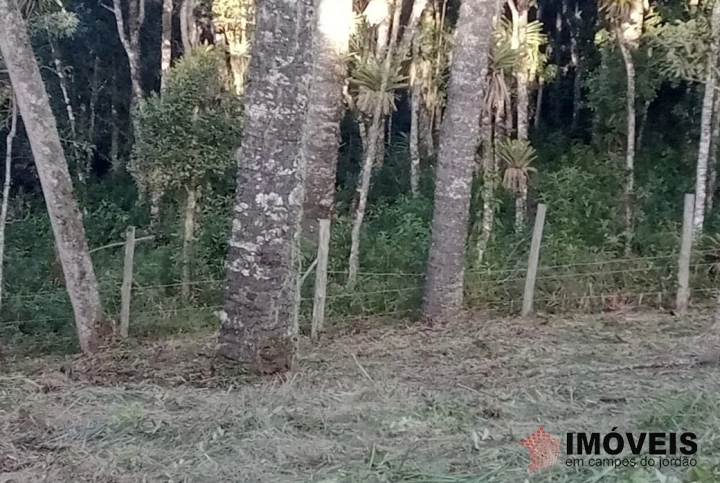 Terreno/Lote Residencial para Venda - Campos do Jordão, Jardim Cataguases - REF: 2215 Imagem da galeria de fotos: Terreno/Lote Residencial para Venda - Campos do Jordão, Jardim Cataguases - REF: 2215