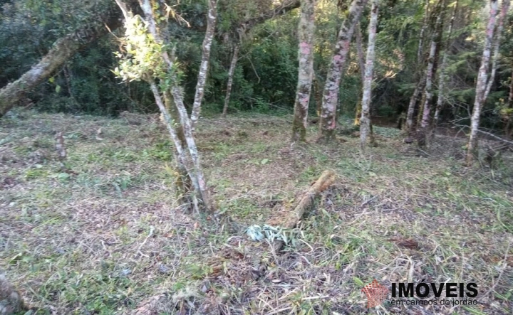 Terreno/Lote Residencial para Venda - Campos do Jordão, Jardim Cataguases - REF: 2215 Imagem da galeria de fotos: Terreno/Lote Residencial para Venda - Campos do Jordão, Jardim Cataguases - REF: 2215