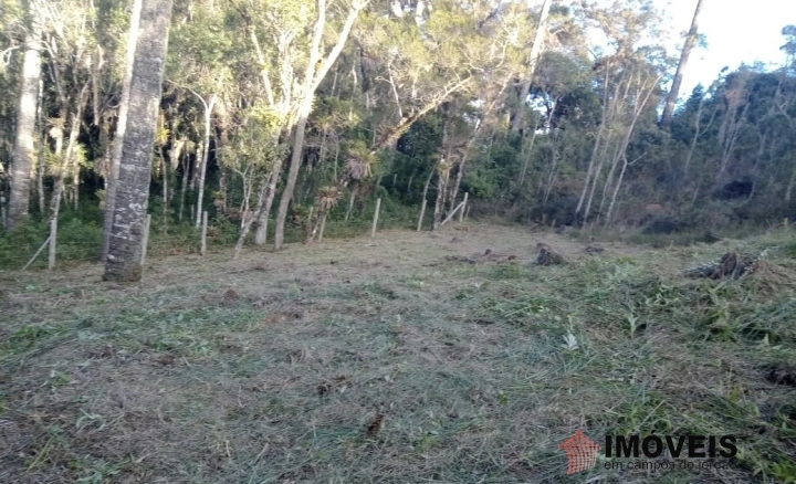 Terreno/Lote Residencial para Venda - Campos do Jordão, Jardim Cataguases - REF: 2215 Imagem da galeria de fotos: Terreno/Lote Residencial para Venda - Campos do Jordão, Jardim Cataguases - REF: 2215