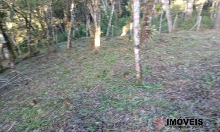 Terreno/Lote Residencial para Venda - Campos do Jordão, Jardim Cataguases - REF: 2215 Imagem da galeria de fotos: Terreno/Lote Residencial para Venda - Campos do Jordão, Jardim Cataguases - REF: 2215
