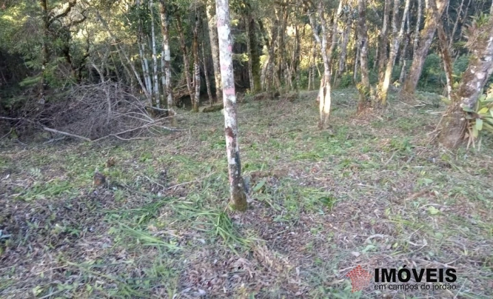 Terreno/Lote Residencial para Venda - Campos do Jordão, Jardim Cataguases - REF: 2215 Imagem da galeria de fotos: Terreno/Lote Residencial para Venda - Campos do Jordão, Jardim Cataguases - REF: 2215