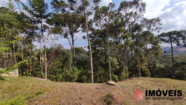 Terreno/Lote Residencial para Venda - Campos do Jordão, Alto do Capivari - REF: 2575 Imagem da galeria de fotos: Terreno/Lote Residencial para Venda - Campos do Jordão, Alto do Capivari - REF: 2575