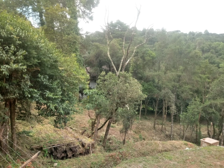 Terreno/Lote Residencial para Venda - Campos do Jordão, Vila Abernéssia - REF: 2586 Imagem da galeria de fotos: Terreno/Lote Residencial para Venda - Campos do Jordão, Vila Abernéssia - REF: 2586