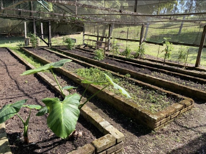 Sítio Rural para Venda Locação Mensal/Anual - Caçapava, Caminho da Mata - REF: 2601 Imagem da galeria de fotos: Sítio Rural para Venda Locação Mensal/Anual - Caçapava, Caminho da Mata - REF: 2601