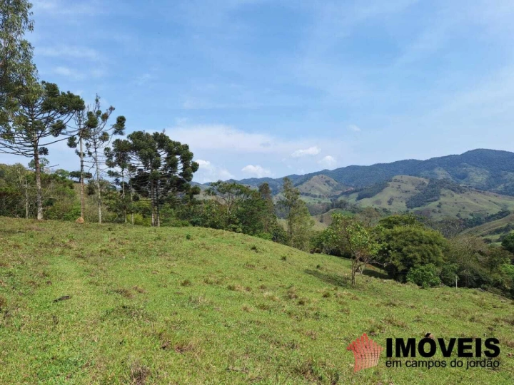 Sítio Rural para Venda - Campos do Jordão, Alpes de Campos do Jordão - REF: 2602 Imagem da galeria de fotos: Sítio Rural para Venda - Campos do Jordão, Alpes de Campos do Jordão - REF: 2602