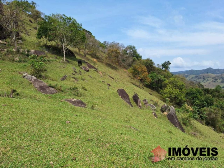 Sítio Rural para Venda - Campos do Jordão, Alpes de Campos do Jordão - REF: 2602 Imagem da galeria de fotos: Sítio Rural para Venda - Campos do Jordão, Alpes de Campos do Jordão - REF: 2602