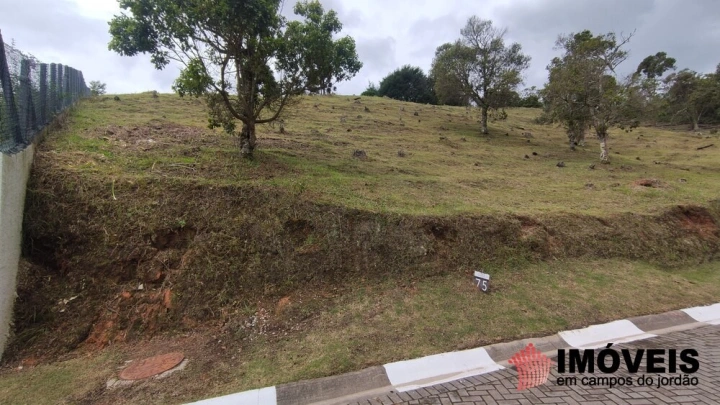 Terreno/Lote Residencial para Venda - Campos do Jordão, Alto do Capivari - REF: 2605 Imagem da galeria de fotos: Terreno/Lote Residencial para Venda - Campos do Jordão, Alto do Capivari - REF: 2605