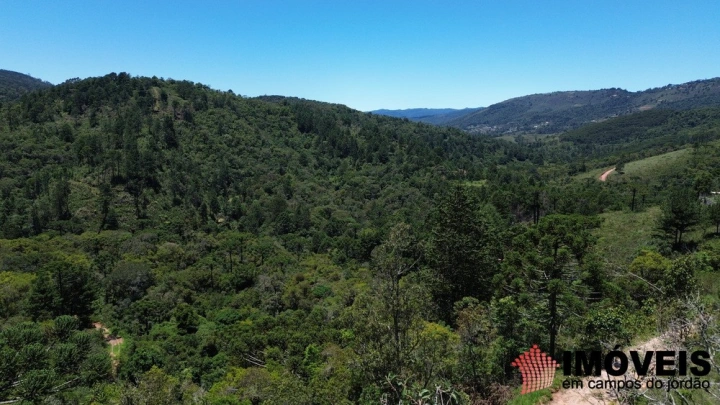 Terreno/Lote Residencial para Venda - Campos do Jordão, Quebradas Civitas - REF: 2644 Imagem da galeria de fotos: Terreno/Lote Residencial para Venda - Campos do Jordão, Quebradas Civitas - REF: 2644