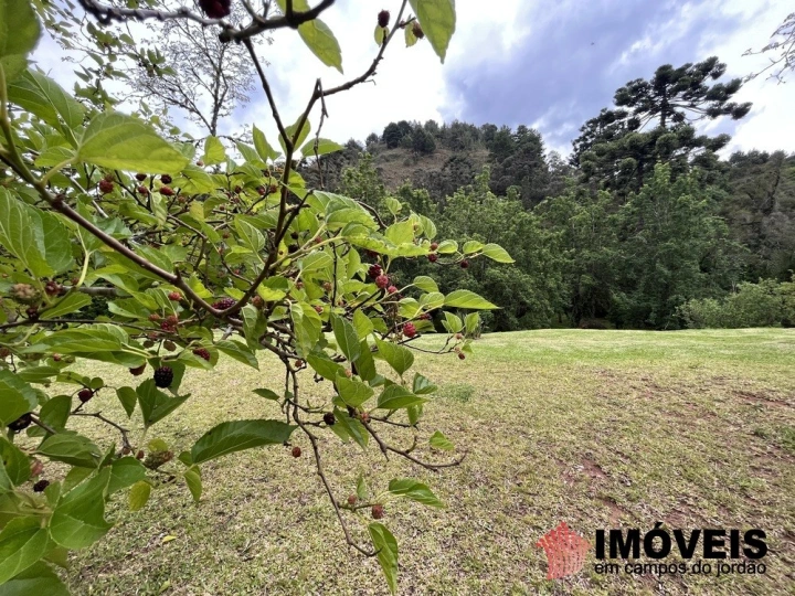 Apartamento Residencial para Venda - Campos do Jordão, Jaguaribe - REF: 2655 Imagem da galeria de fotos: Apartamento Residencial para Venda - Campos do Jordão, Jaguaribe - REF: 2655