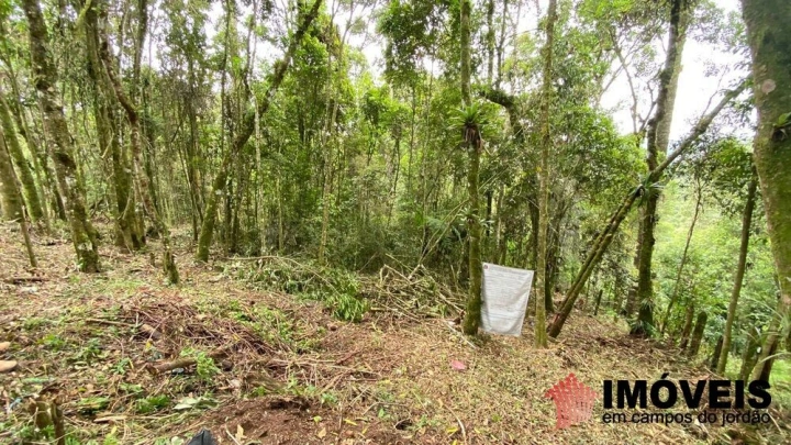 Terreno/Lote Residencial para Venda - Campos do Jordão, Vila Natal - REF: 2667 Imagem da galeria de fotos: Terreno/Lote Residencial para Venda - Campos do Jordão, Vila Natal - REF: 2667