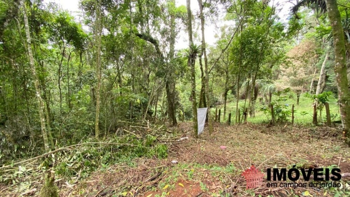 Terreno/Lote Residencial para Venda - Campos do Jordão, Vila Natal - REF: 2667 Imagem da galeria de fotos: Terreno/Lote Residencial para Venda - Campos do Jordão, Vila Natal - REF: 2667