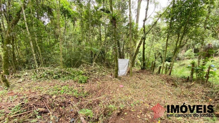 Terreno/Lote Residencial para Venda - Campos do Jordão, Vila Natal - REF: 2667 Imagem da galeria de fotos: Terreno/Lote Residencial para Venda - Campos do Jordão, Vila Natal - REF: 2667