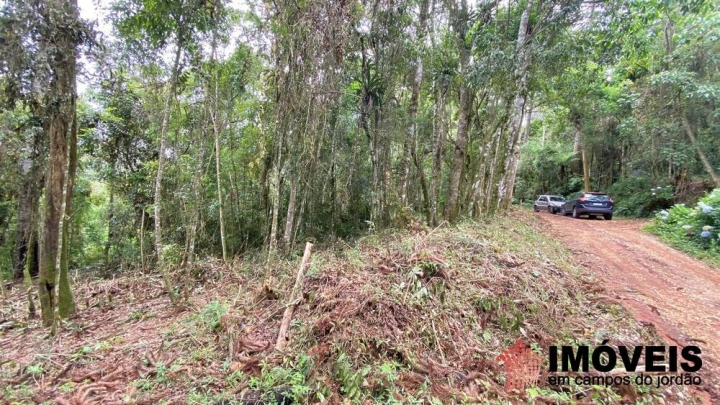 Terreno/Lote Residencial para Venda - Campos do Jordão, Vila Natal - REF: 2667 Imagem da galeria de fotos: Terreno/Lote Residencial para Venda - Campos do Jordão, Vila Natal - REF: 2667