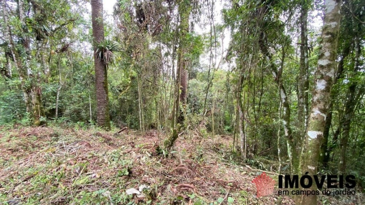 Terreno/Lote Residencial para Venda - Campos do Jordão, Vila Natal - REF: 2667 Imagem da galeria de fotos: Terreno/Lote Residencial para Venda - Campos do Jordão, Vila Natal - REF: 2667