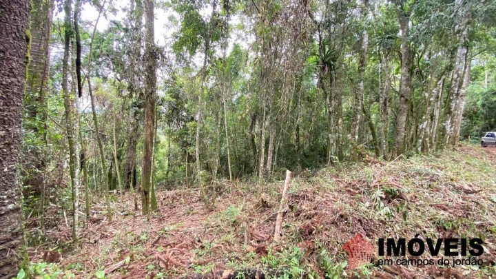 Terreno/Lote Residencial para Venda - Campos do Jordão, Vila Natal - REF: 2667 Imagem da galeria de fotos: Terreno/Lote Residencial para Venda - Campos do Jordão, Vila Natal - REF: 2667