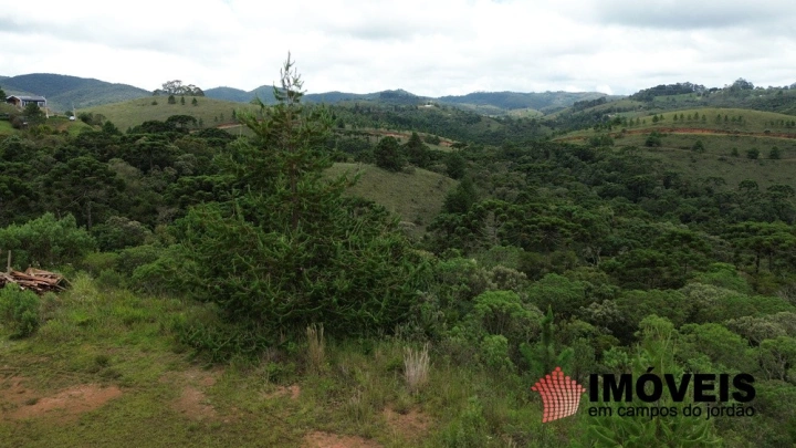 Terreno/Lote Residencial para Venda - Campos do Jordão, Descansópolis - REF: 2949 Imagem da galeria de fotos: Terreno/Lote Residencial para Venda - Campos do Jordão, Descansópolis - REF: 2949