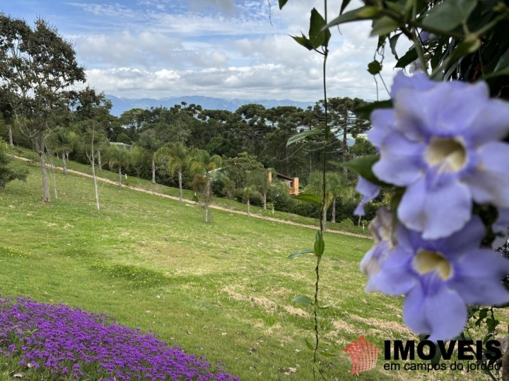 Imagem da galeria de fotos: Sítio Rural para Venda - Campos do Jordão, São Bento do Sapucaí - REF: 2944