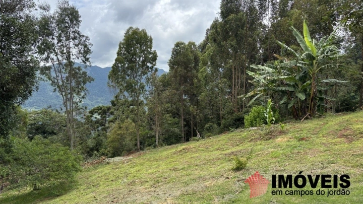 Imagem da galeria de fotos: Sítio Rural para Venda - Campos do Jordão, São Bento do Sapucaí - REF: 2944