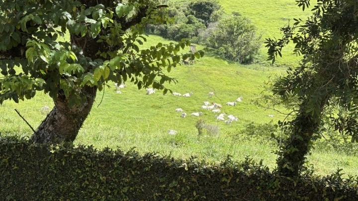 Casa Residencial para Venda - Campos do Jordão, São Bento do Sapucaí - REF: 2943 Imagem da galeria de fotos: Casa Residencial para Venda - Campos do Jordão, São Bento do Sapucaí - REF: 2943