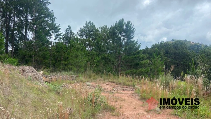 Terreno/Lote Residencial para Venda - Campos do Jordão, Descansópolis - REF: 2923 Imagem da galeria de fotos: Terreno/Lote Residencial para Venda - Campos do Jordão, Descansópolis - REF: 2923