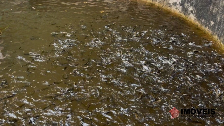 Imagem da galeria de fotos: Chácara Rural para Venda - Campos do Jordão, Parque Ferradura - REF: 2920