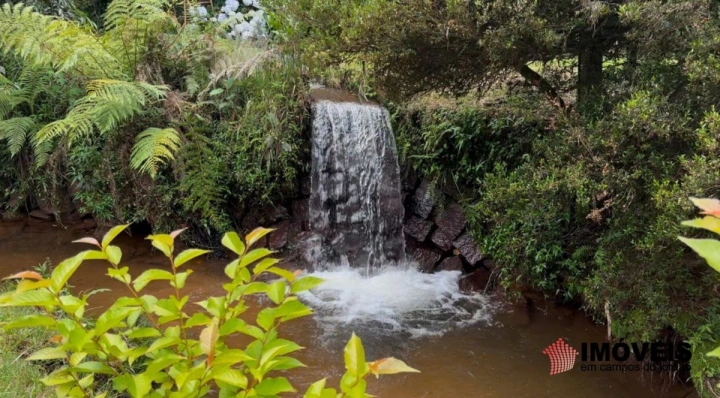 Imagem da galeria de fotos: Chácara Rural para Venda - Campos do Jordão, Parque Ferradura - REF: 2920