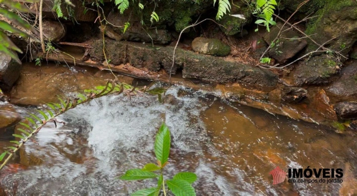 Imagem da galeria de fotos: Chácara Rural para Venda - Campos do Jordão, Parque Ferradura - REF: 2920