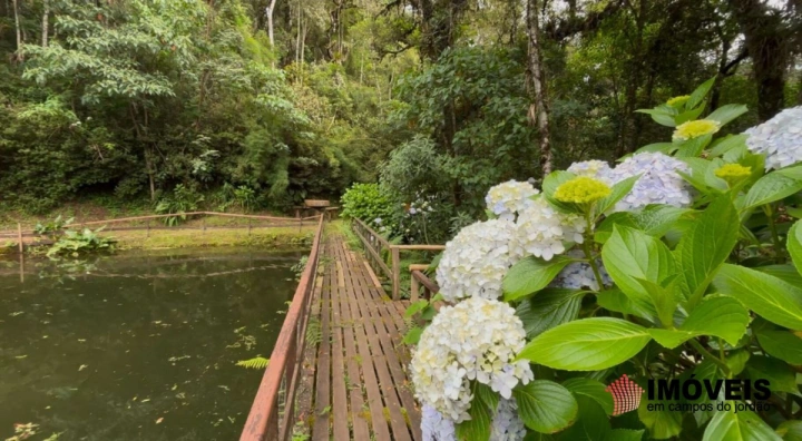 Imagem da galeria de fotos: Chácara Rural para Venda - Campos do Jordão, Parque Ferradura - REF: 2920