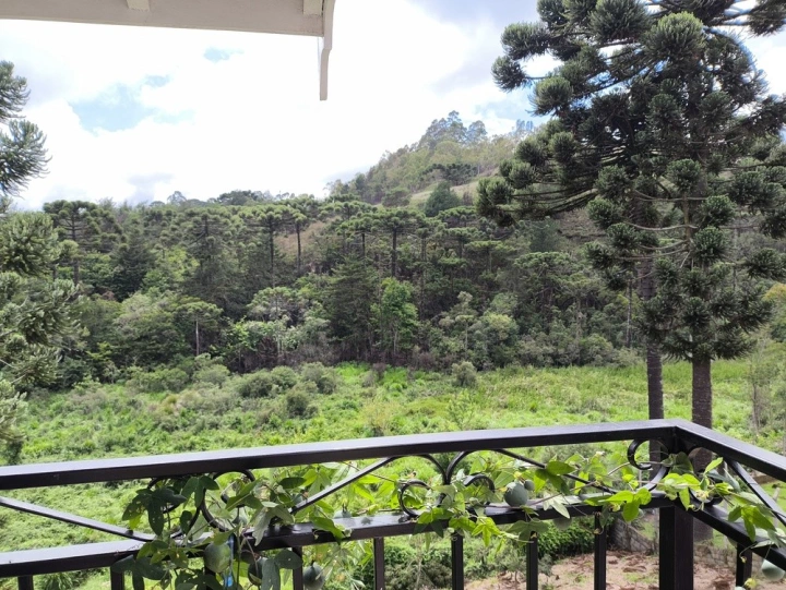 Casa Residencial para Venda - Campos do Jordão, Vila Matilde - REF: 2916 Imagem da galeria de fotos: Casa Residencial para Venda - Campos do Jordão, Vila Matilde - REF: 2916